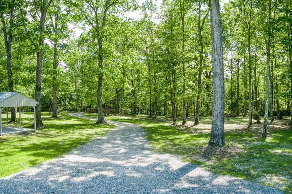 1169 Terry Lane Jamestown TN 38556