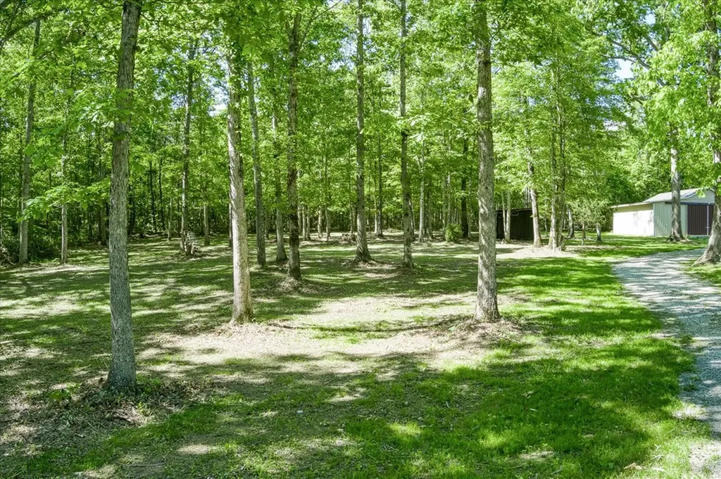 1169 Terry Lane Jamestown TN 38556