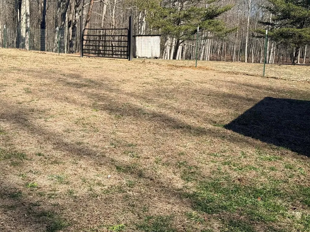 1169 Terry Lane Jamestown TN 38556