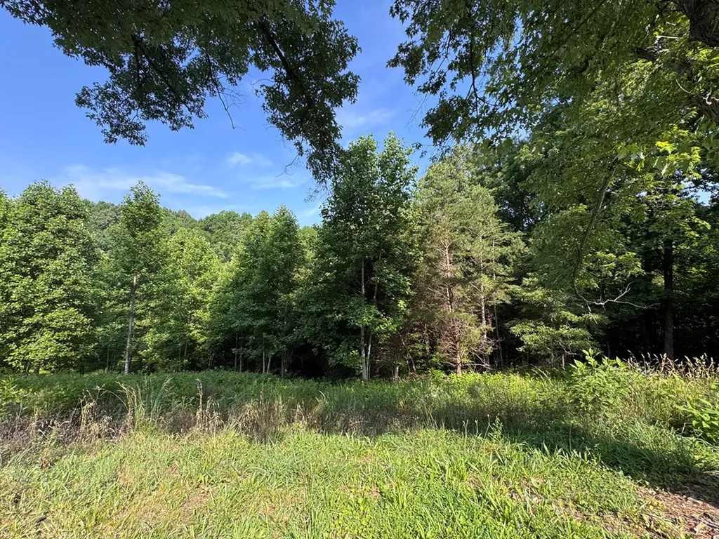 3470 Freehill Road Cookeville TN 38501