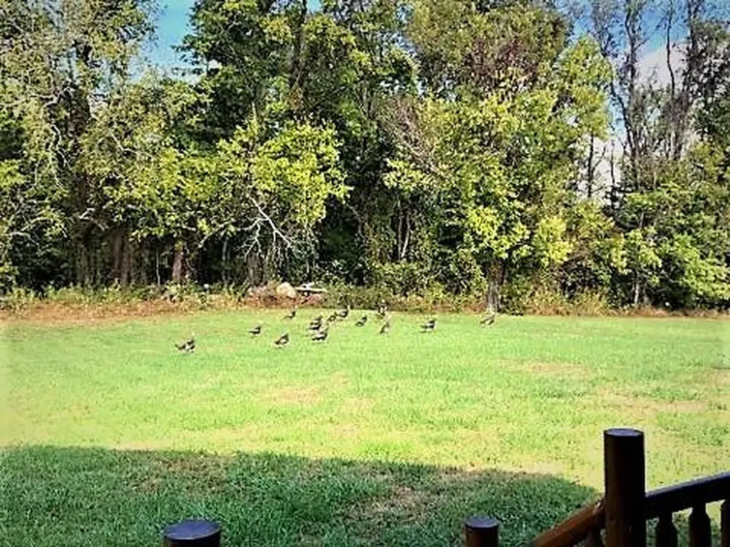 3715 Swan Ridge Road Hilham TN 38568