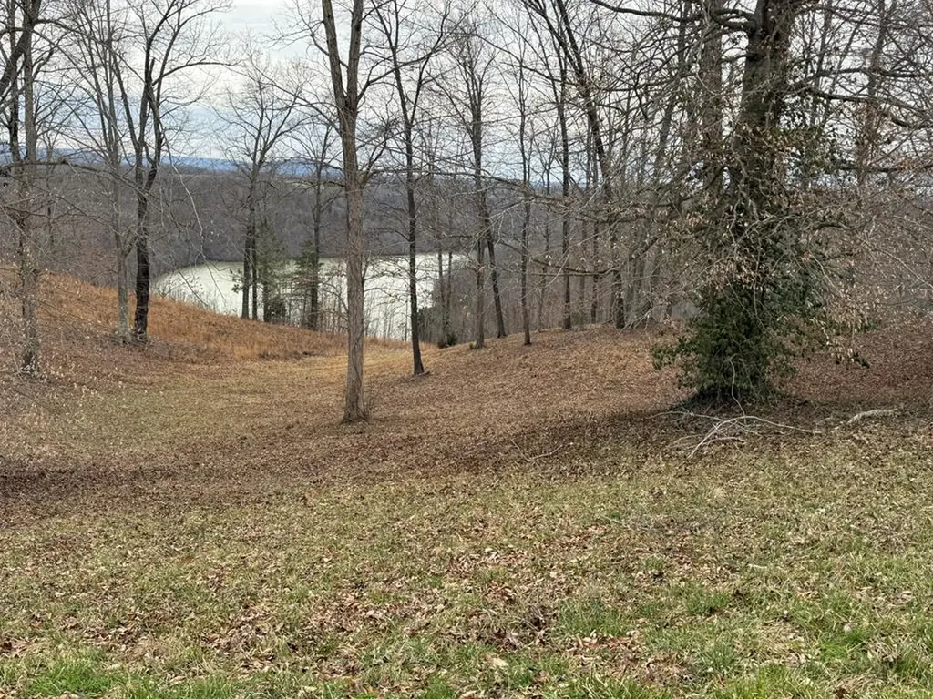 Lot 7 Amonett Circle Byrdstown TN 38549