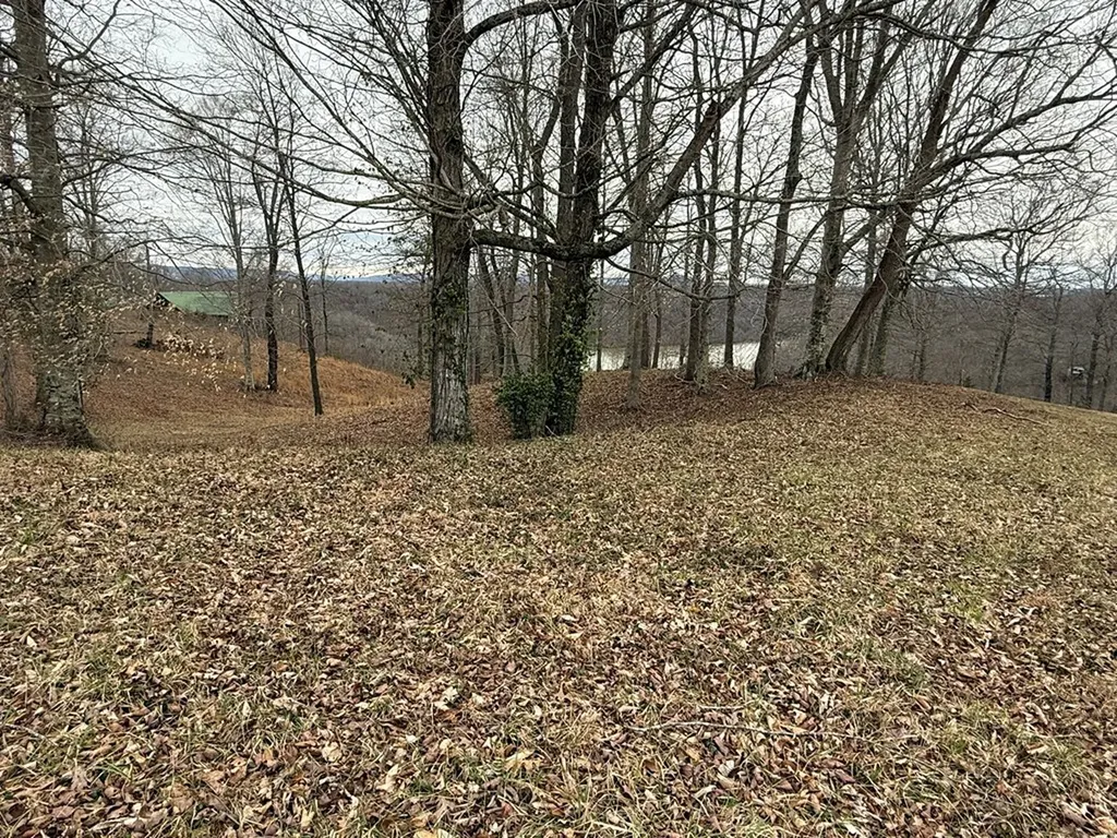 Lot 7 Amonett Circle Byrdstown TN 38549