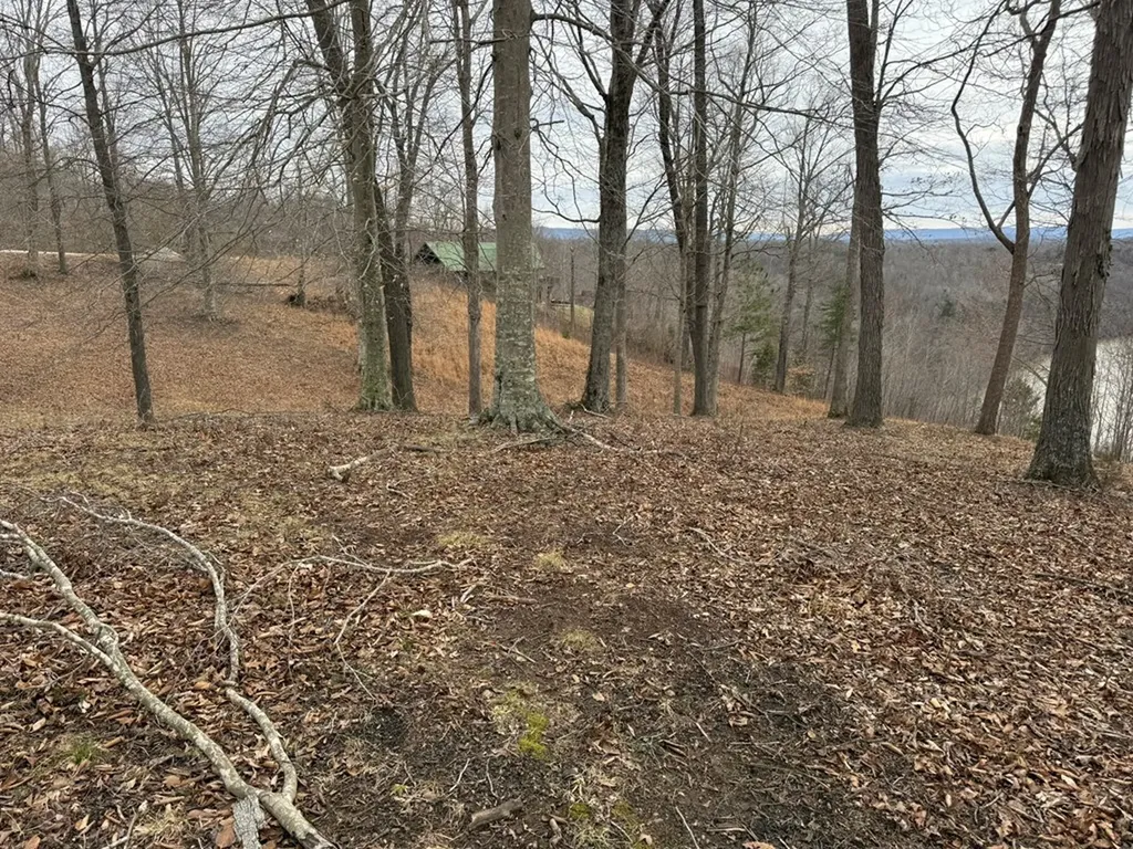 Lot 7 Amonett Circle Byrdstown TN 38549