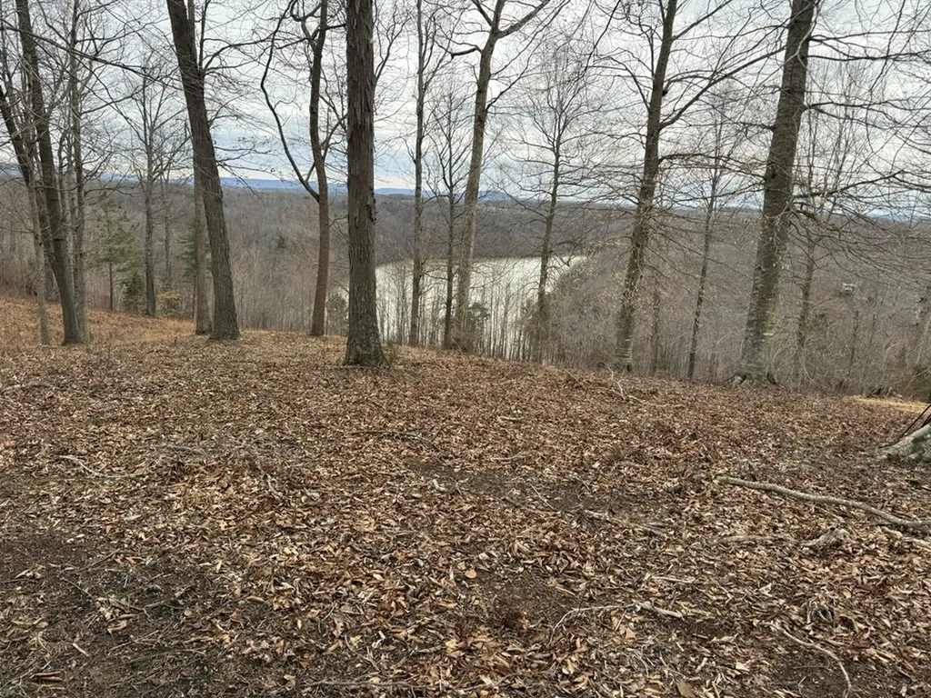 Lot 7 Amonett Circle Byrdstown TN 38549
