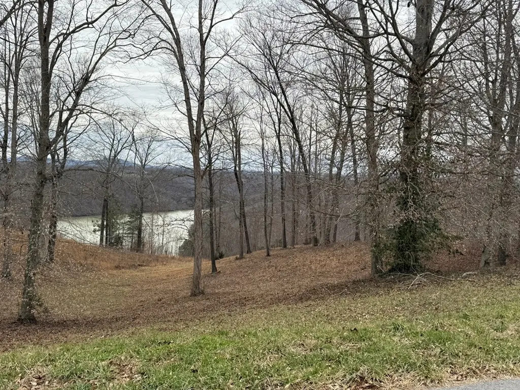 Lot 7 Amonett Circle Byrdstown TN 38549