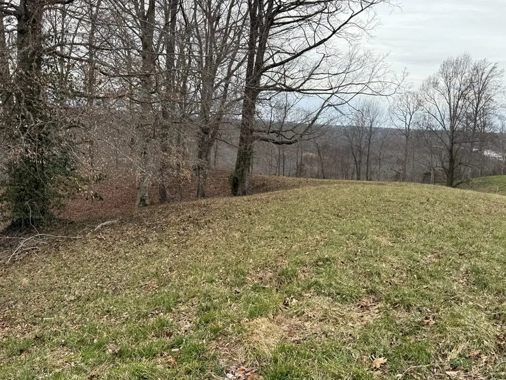 Lot 7 Amonett Circle Byrdstown TN 38549