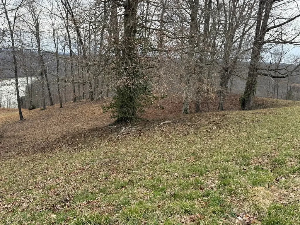 Lot 7 Amonett Circle Byrdstown TN 38549
