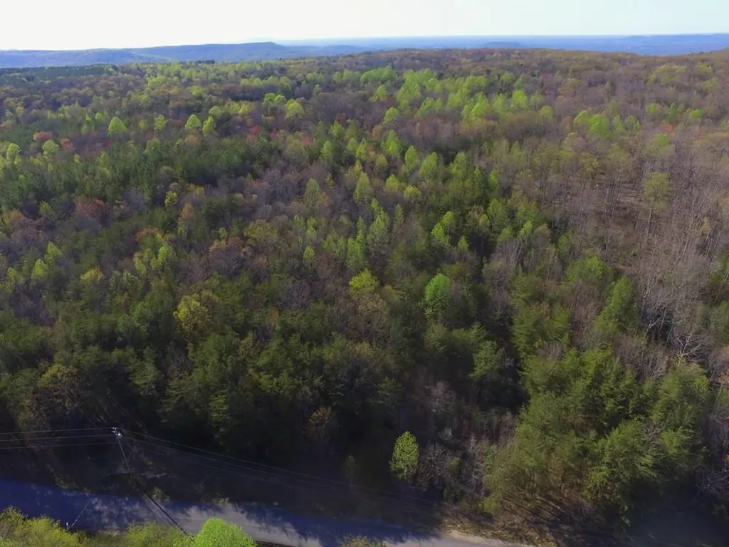 Lot 457 Hillis Cemetery Road Spencer TN 38585
