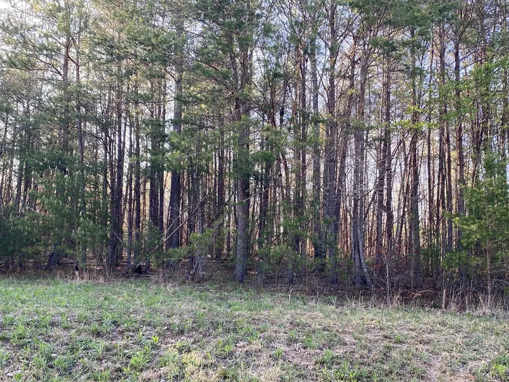 Lot 457 Hillis Cemetery Road Spencer TN 38585