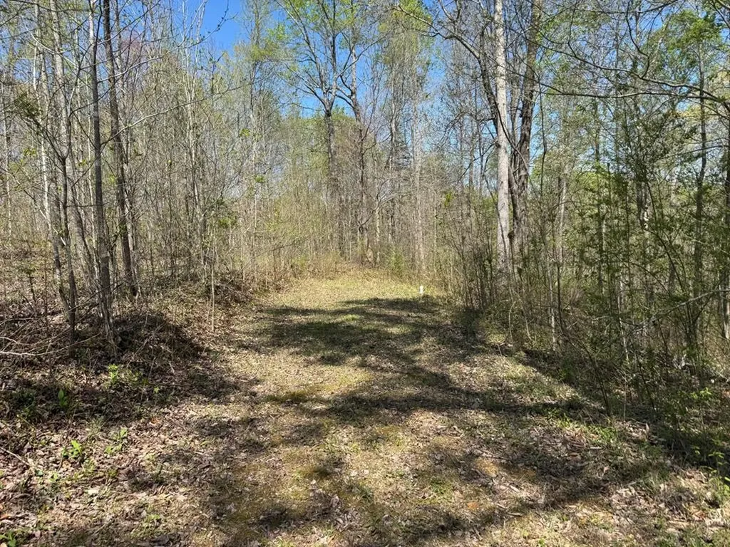 564 T Short Lane Cookeville TN 38501