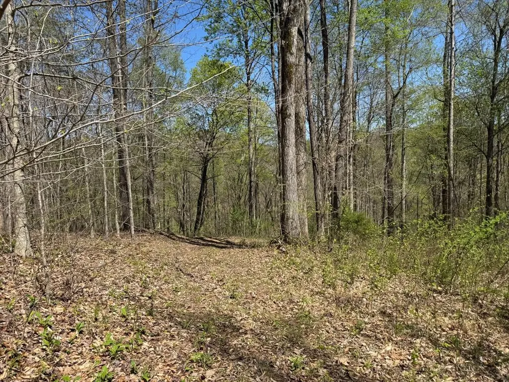 564 T Short Lane Cookeville TN 38501