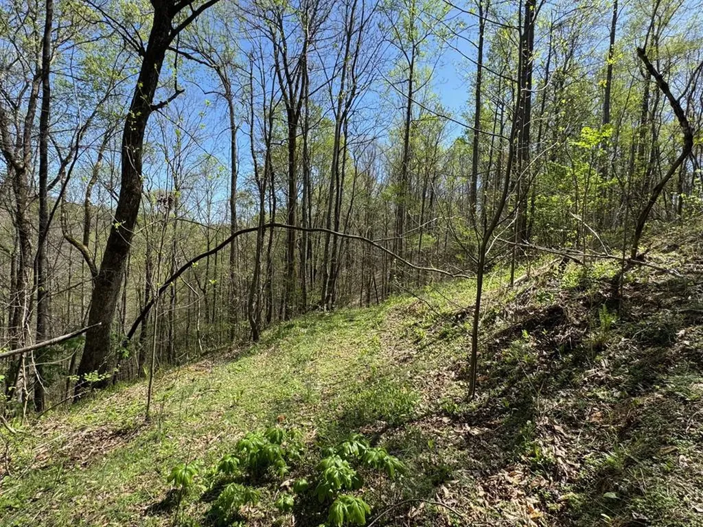 564 T Short Lane Cookeville TN 38501