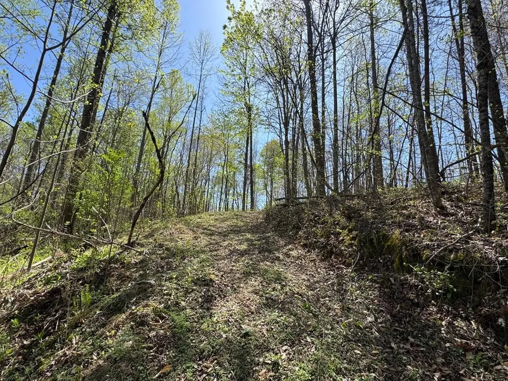 564 T Short Lane Cookeville TN 38501