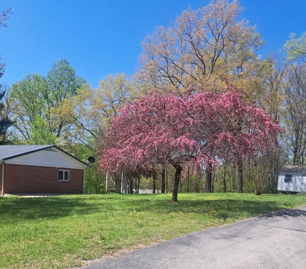 455 Spring Valley Mcminnville TN 37110