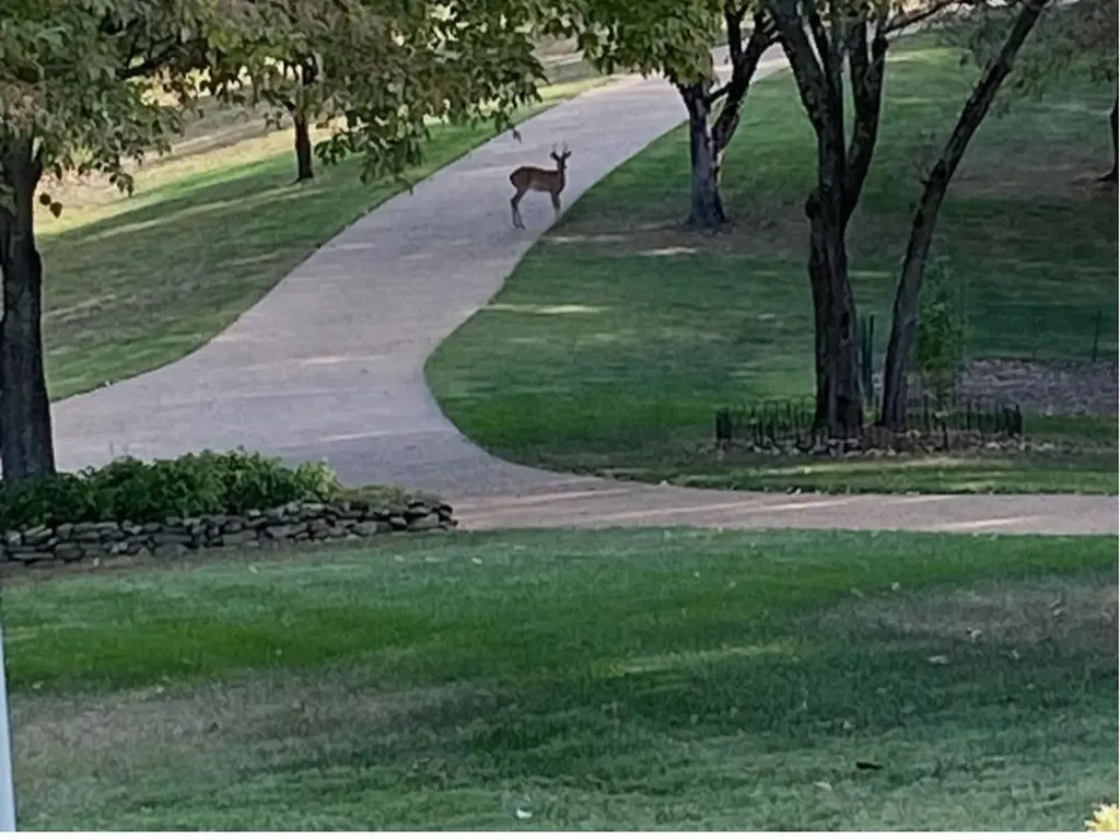 180 Austin Ridge Road Baxter TN 38544