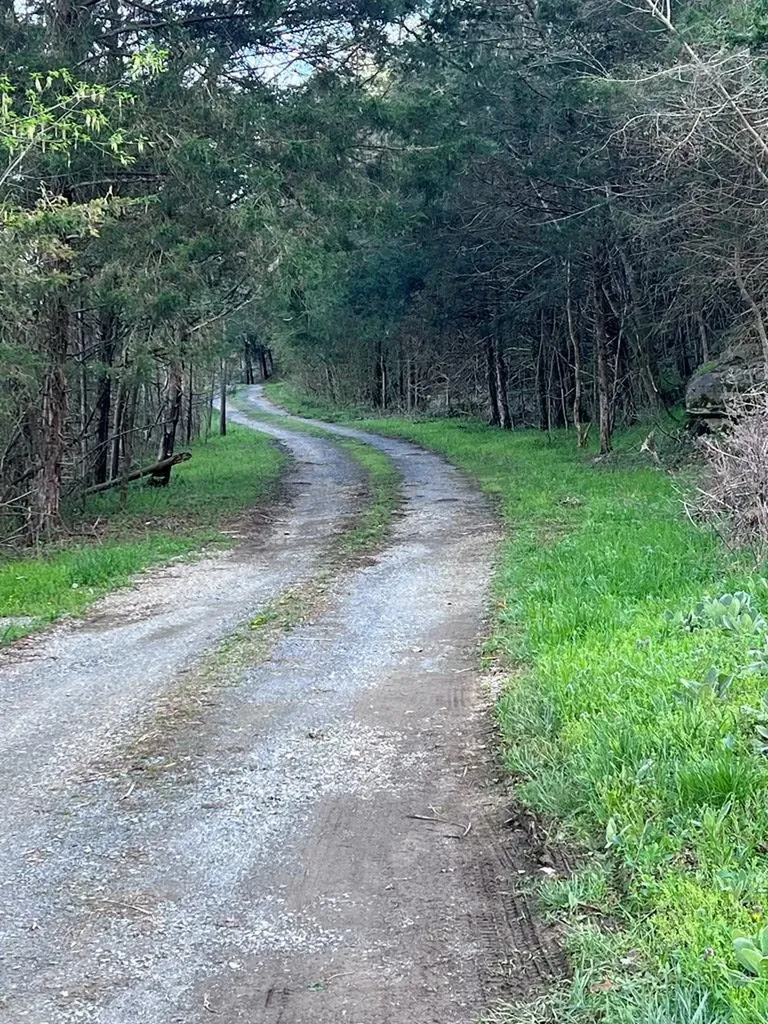 247 Guy Maddox Lane Granville TN 38564