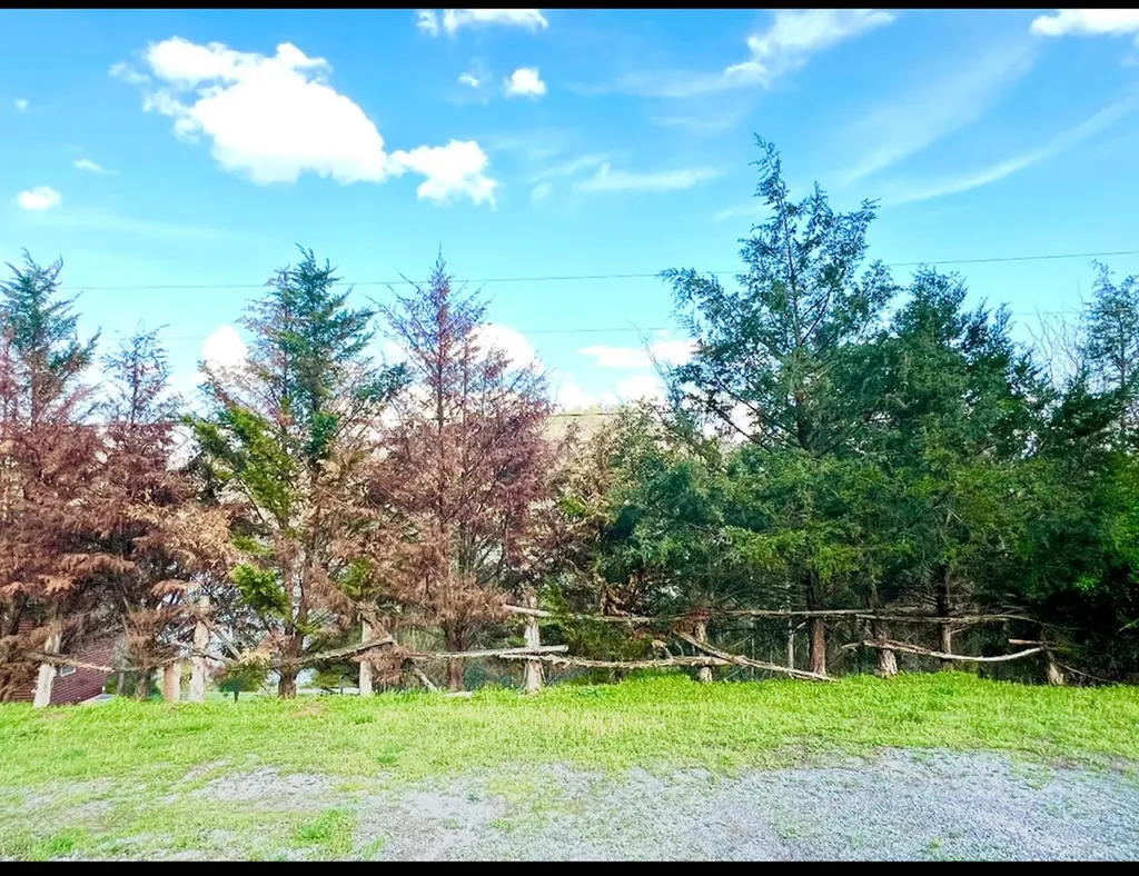 247 Guy Maddox Lane Granville TN 38564