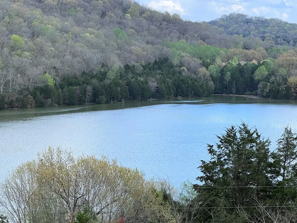 247 Guy Maddox Lane Granville TN 38564