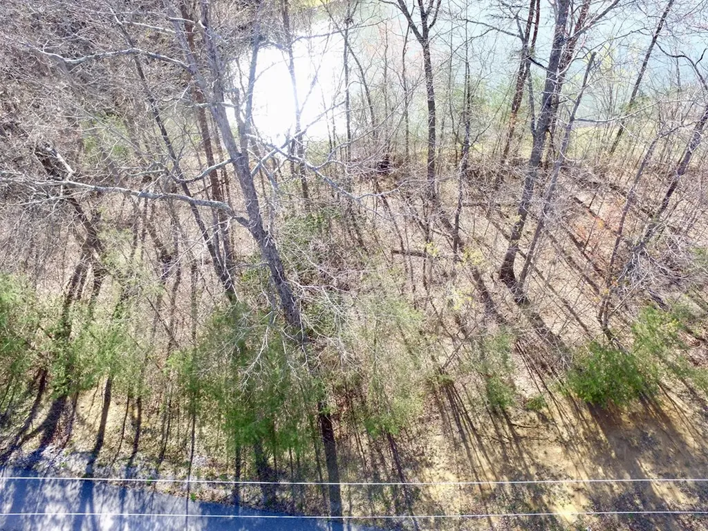 Lot 765 Surrey Lane Spencer TN 38585