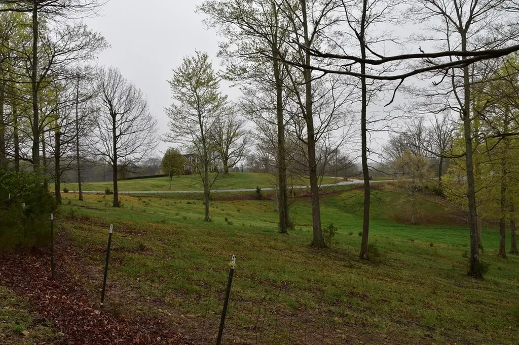 5128 Cove Creek Road Byrdstown TN 38549