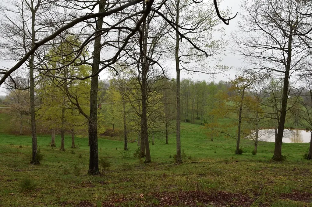 5128 Cove Creek Road Byrdstown TN 38549