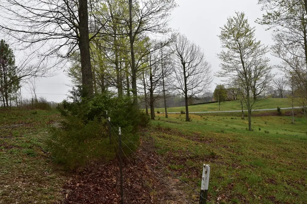 5128 Cove Creek Road Byrdstown TN 38549