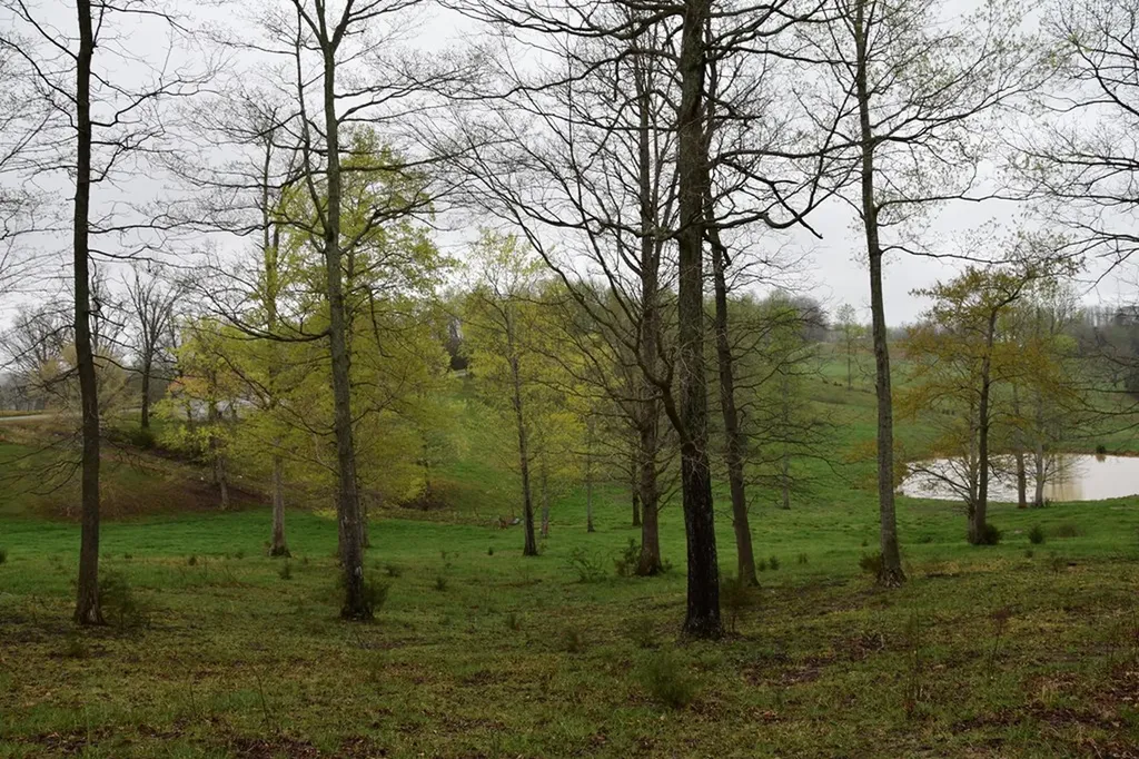 5128 Cove Creek Road Byrdstown TN 38549