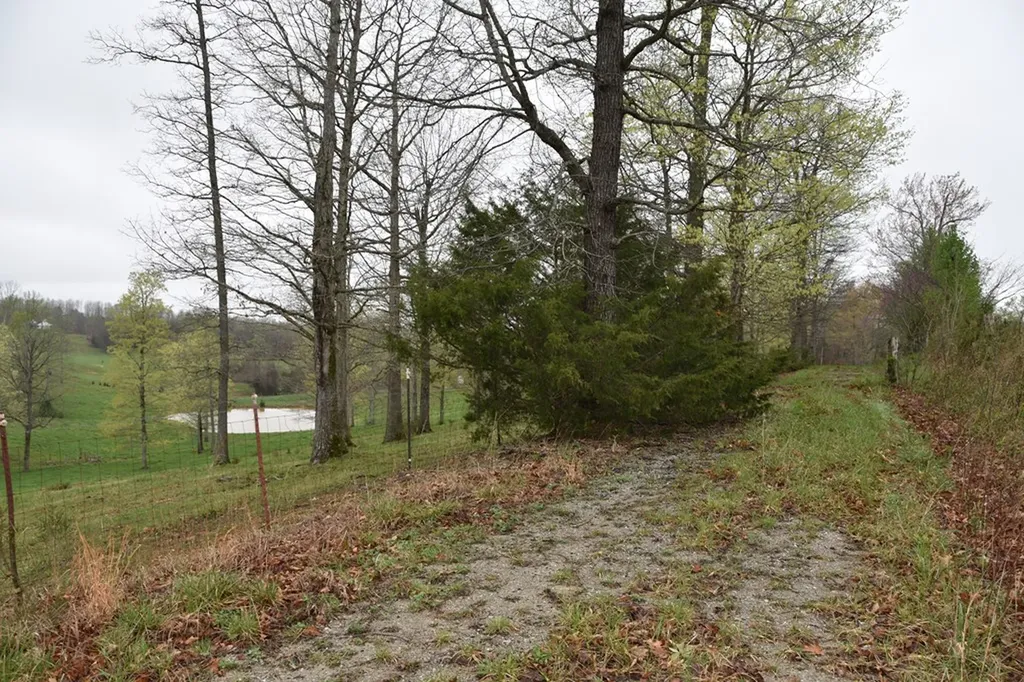 5128 Cove Creek Road Byrdstown TN 38549