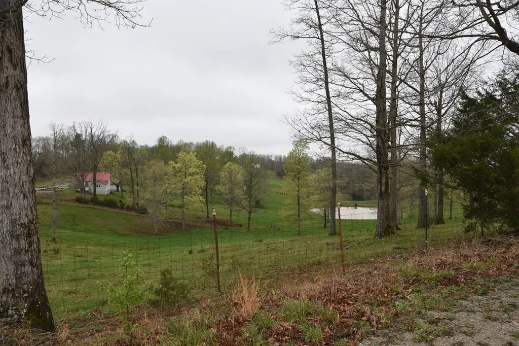 5128 Cove Creek Road Byrdstown TN 38549