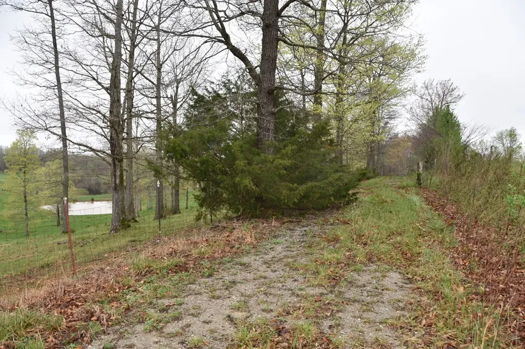 5128 Cove Creek Road Byrdstown TN 38549