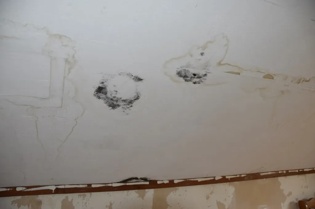 5128 Cove Creek Road Byrdstown TN 38549