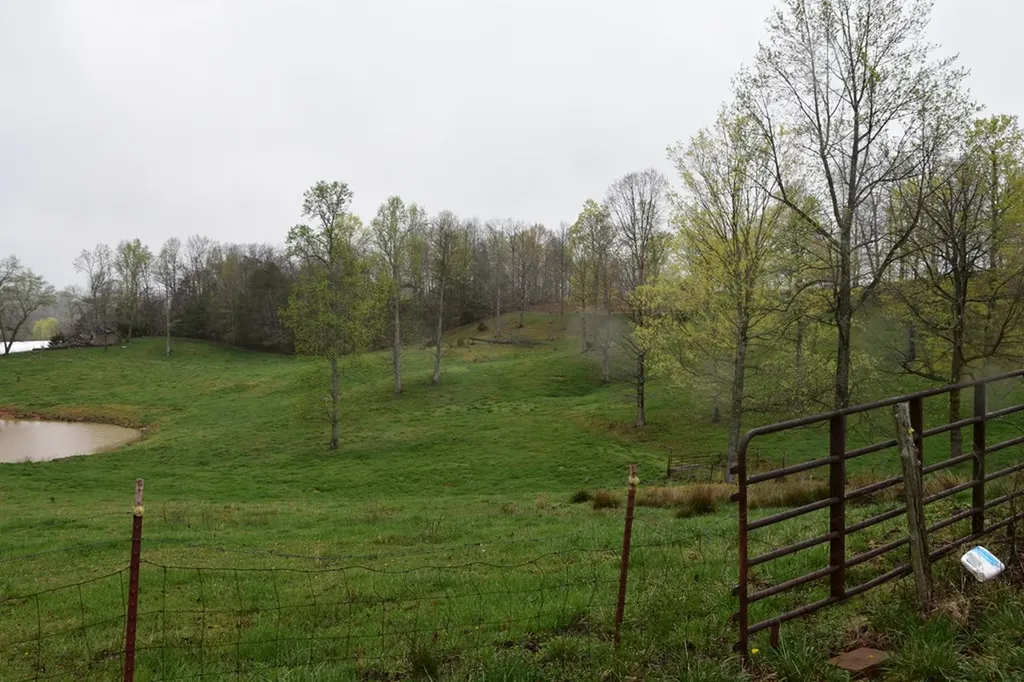 5128 Cove Creek Road Byrdstown TN 38549