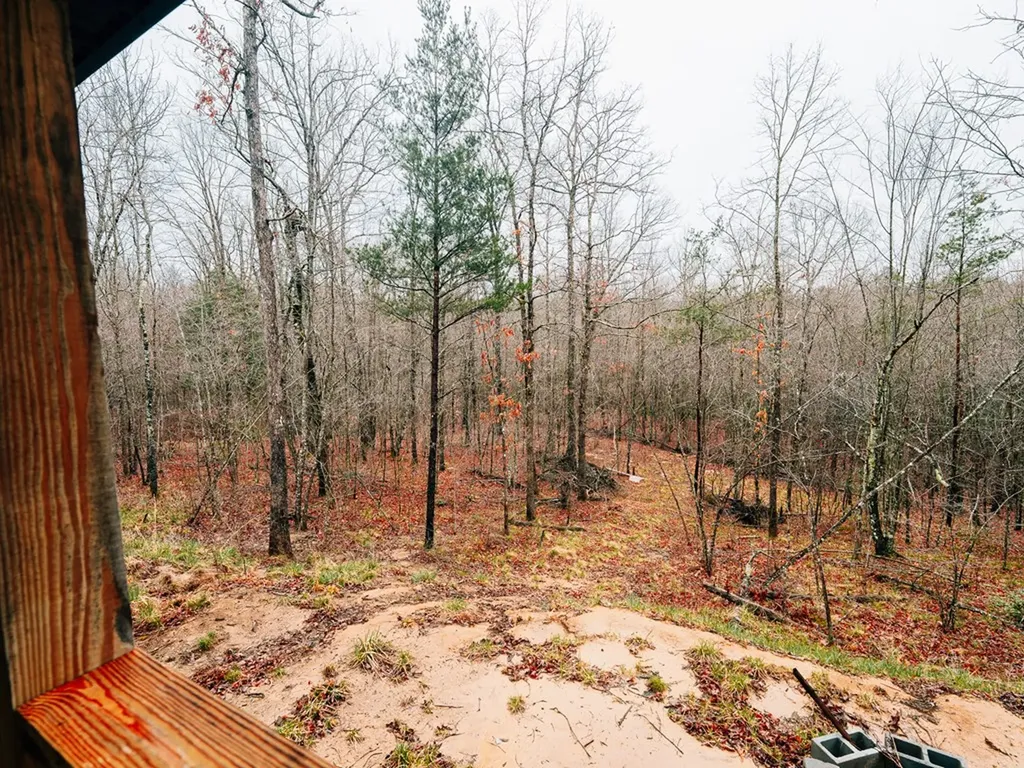 813 Bluebird Ridge Jamestown TN 38556