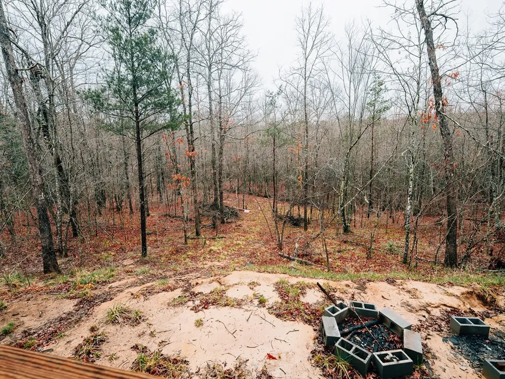 813 Bluebird Ridge Jamestown TN 38556