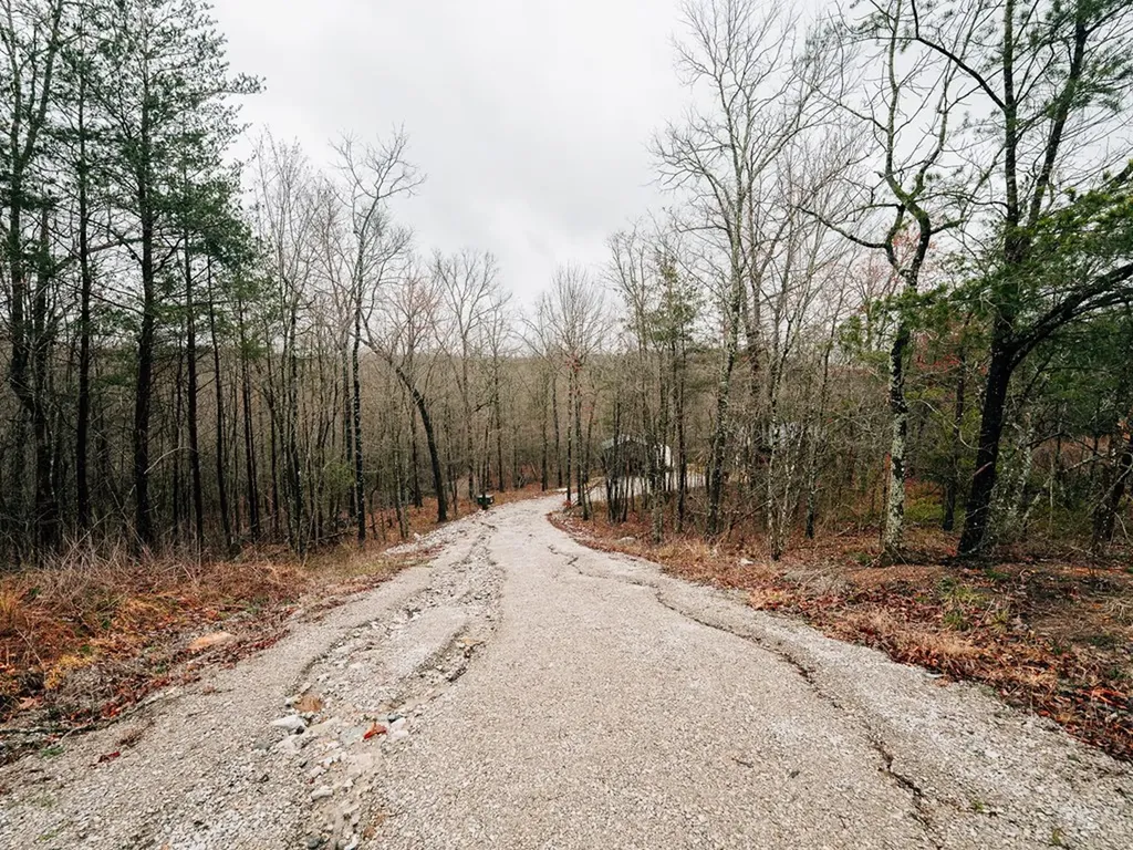 813 Bluebird Ridge Jamestown TN 38556