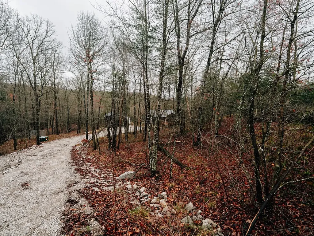 813 Bluebird Ridge Jamestown TN 38556