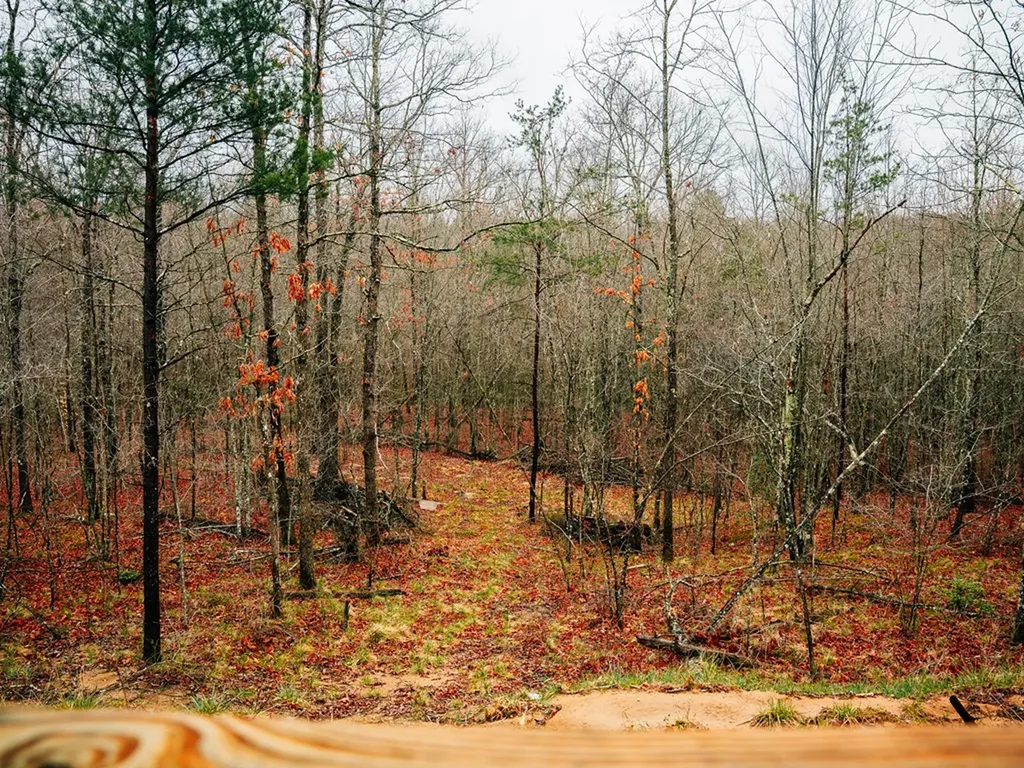 813 Bluebird Ridge Jamestown TN 38556