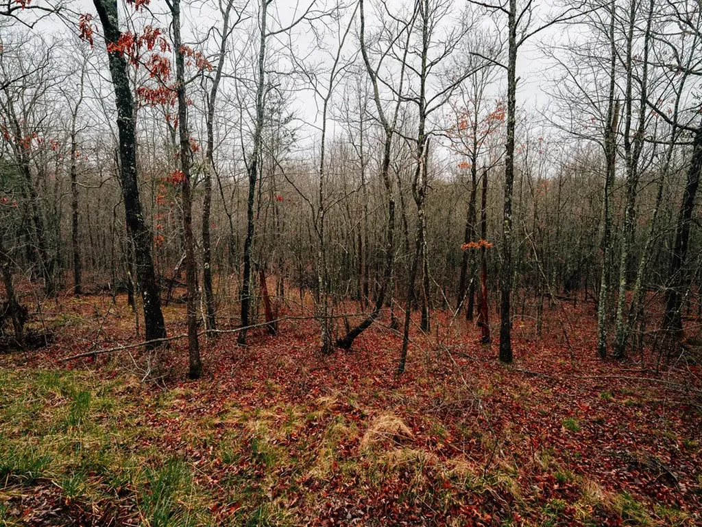 813 Bluebird Ridge Jamestown TN 38556