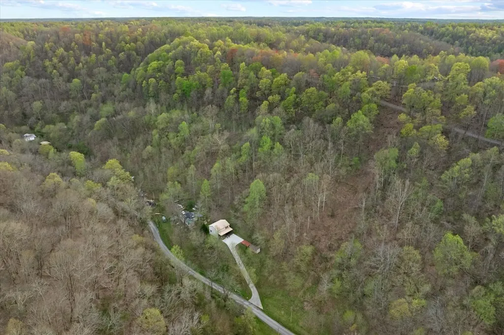1180 Hopkins Hollow Road Gainesboro TN 38562