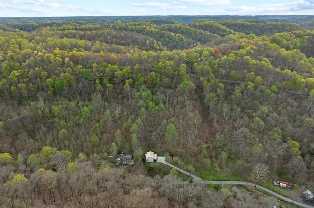 1180 Hopkins Hollow Road Gainesboro TN 38562