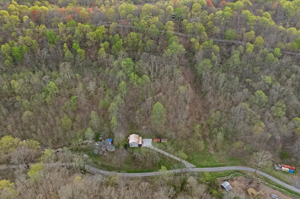 1180 Hopkins Hollow Road Gainesboro TN 38562