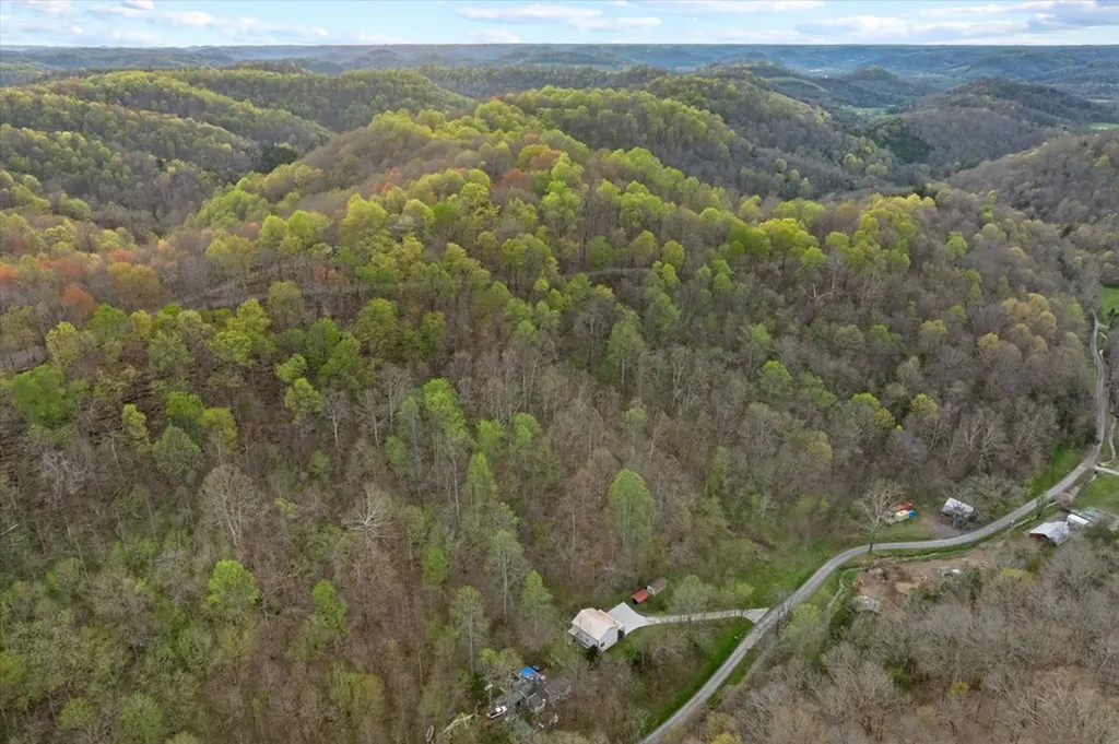 1180 Hopkins Hollow Road Gainesboro TN 38562
