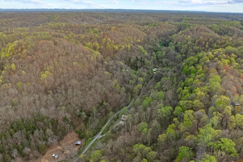 1180 Hopkins Hollow Road Gainesboro TN 38562
