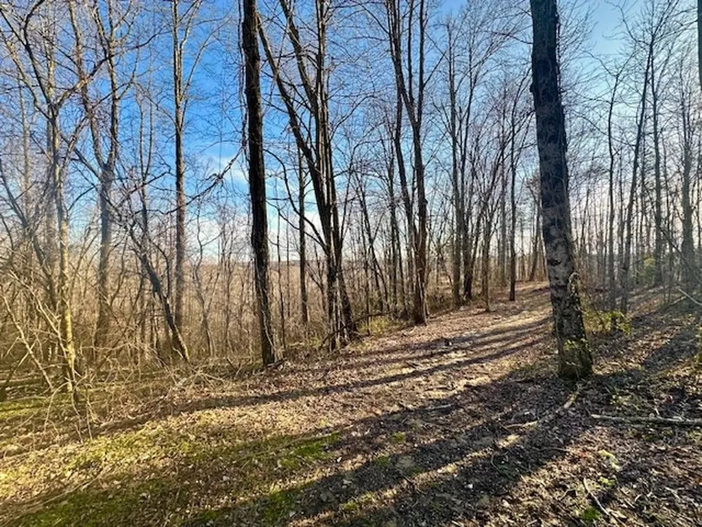 260 Vine Ridge Road Crawford TN 38554