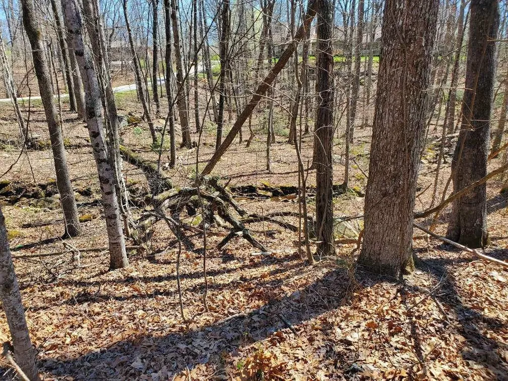 127 Baltusrol Road Crossville TN 38558