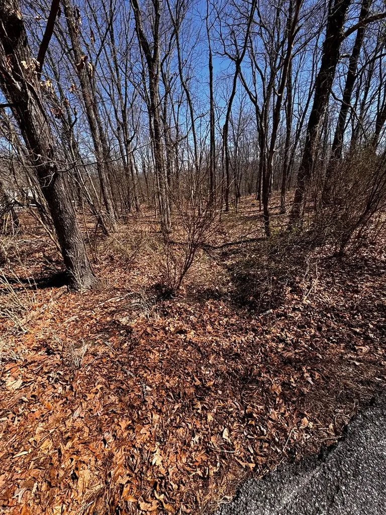 127 Baltusrol Road Crossville TN 38558