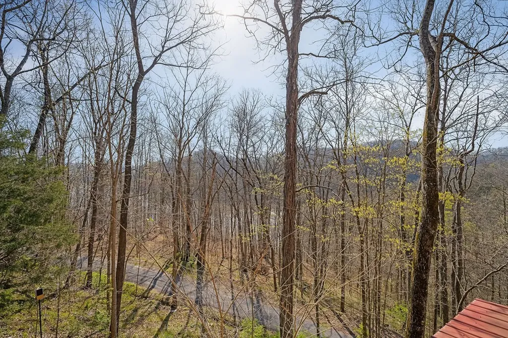 1061 Cherokee Drive Smithville TN 37166