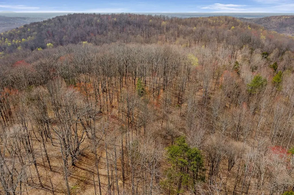 00 White Oak Flatt Road Sparta TN 38583