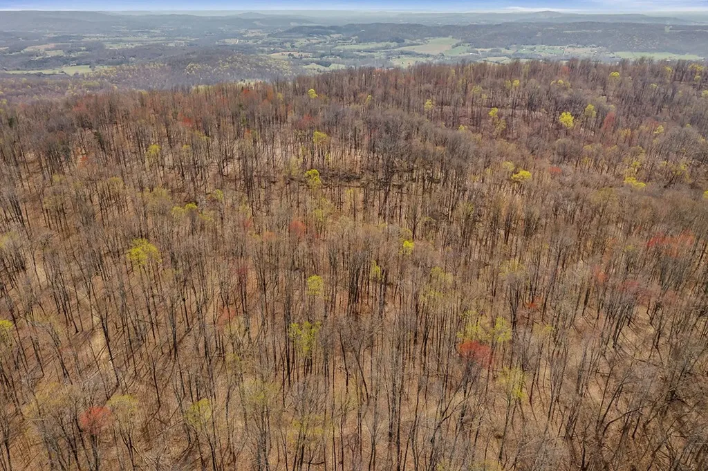 00 White Oak Flatt Road Sparta TN 38583